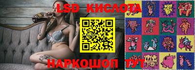 МДПВ Новодвинск