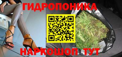 МДПВ Новодвинск