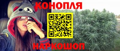 МДПВ Новодвинск