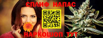 МДПВ Новодвинск
