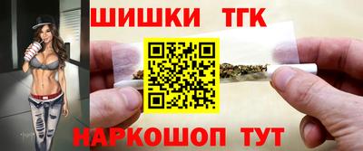 МДПВ Новодвинск