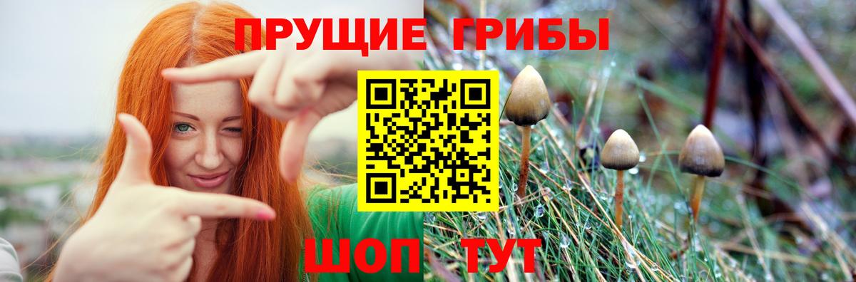Галлюциногенные грибы MAGIC MUSHROOMS Барнаул